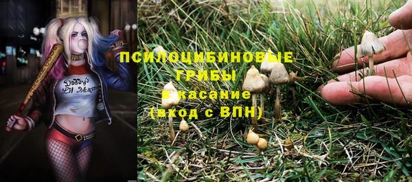 скорость Няндома