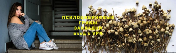 скорость Няндома