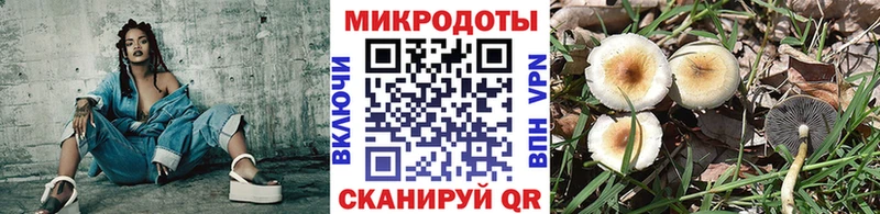 купить   Слюдянка  Галлюциногенные грибы GOLDEN TEACHER 